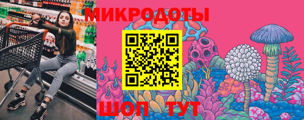 Галлюциногенные грибы прущие грибы  Вход с VPN  как найти   Дубна 